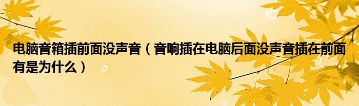 电脑音箱插前面没声音（音响插在电脑后面没声音插在前面有是为什么）