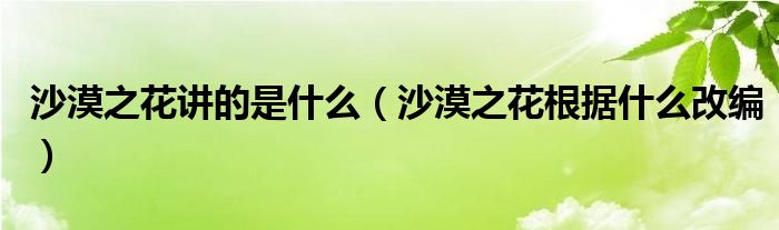 沙漠之花讲的是什么（沙漠之花根据什么改编）