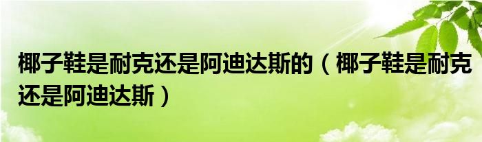 椰子鞋是耐克还是阿迪达斯的（椰子鞋是耐克还是阿迪达斯）