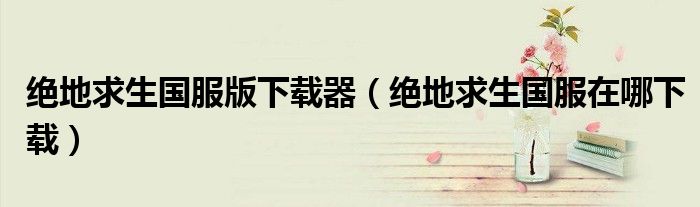 绝地求生国服版下载器（绝地求生国服在哪下载）