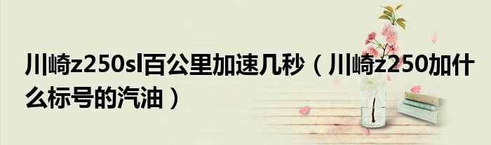 川崎z250sl百公里加速几秒（川崎z250加什么标号的汽油）