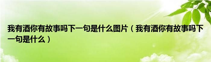 我有酒你有故事吗下一句是什么图片（我有酒你有故事吗下一句是什么）