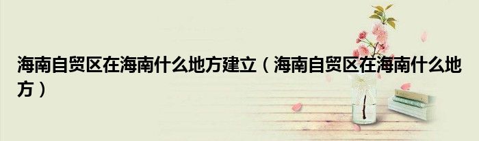 海南自贸区在海南什么地方建立（海南自贸区在海南什么地方）
