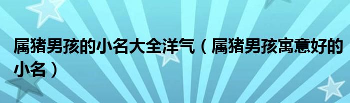 属猪男孩的小名大全洋气（属猪男孩寓意好的小名）