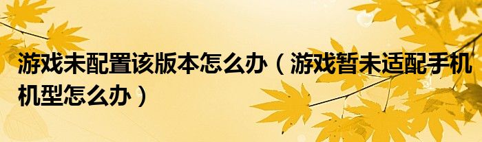 游戏未配置该版本怎么办（游戏暂未适配手机机型怎么办）