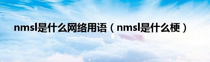 nmsl是什么网络用语（nmsl是什么梗）