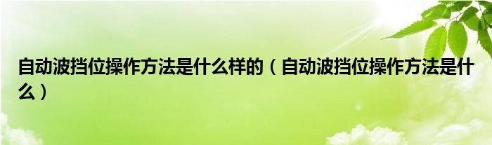 自动波挡位操作方法是什么样的（自动波挡位操作方法是什么）