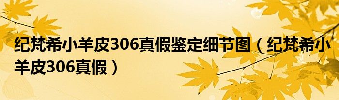 纪梵希小羊皮306真假鉴定细节图（纪梵希小羊皮306真假）
