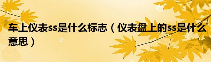 车上仪表ss是什么标志（仪表盘上的ss是什么意思）