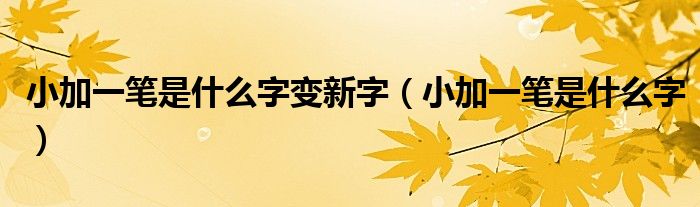 小加一笔是什么字变新字（小加一笔是什么字）
