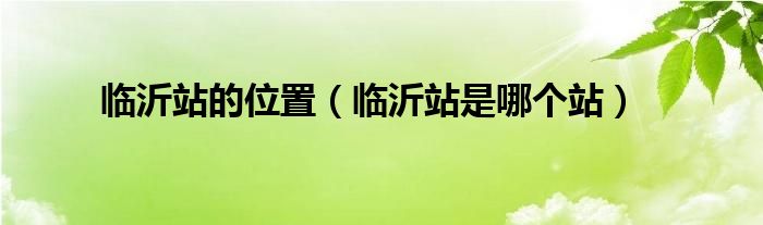 临沂站的位置（临沂站是哪个站）