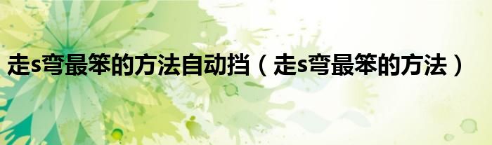 走s弯最笨的方法自动挡（走s弯最笨的方法）
