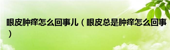 眼皮肿痒怎么回事儿（眼皮总是肿痒怎么回事）