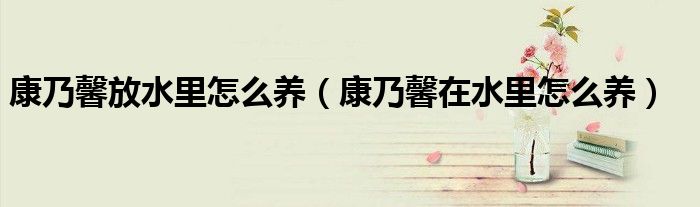 康乃馨放水里怎么养（康乃馨在水里怎么养）