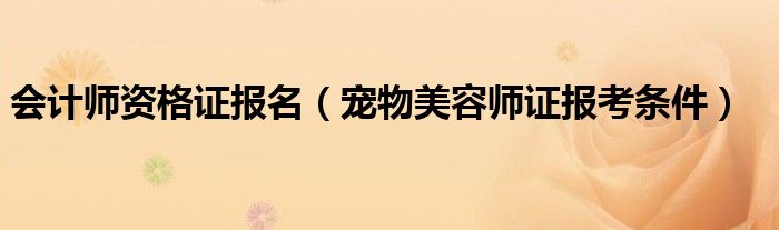 会计师资格证报名（宠物美容师证报考条件）