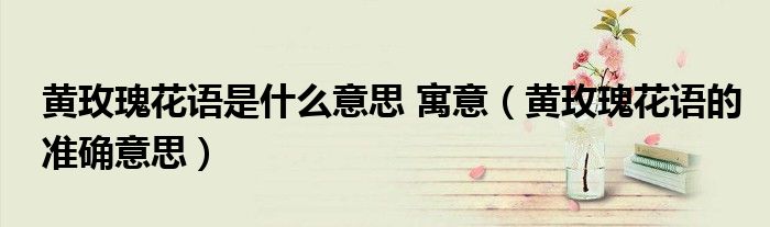 黄玫瑰花语是什么意思 寓意（黄玫瑰花语的准确意思）