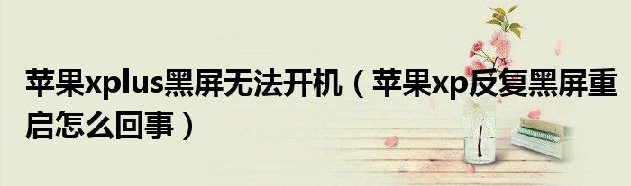 苹果xplus黑屏无法开机（苹果xp反复黑屏重启怎么回事）