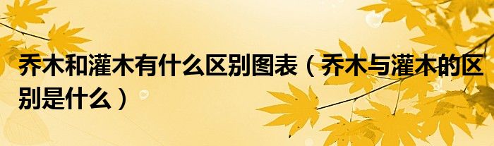 乔木和灌木有什么区别图表（乔木与灌木的区别是什么）