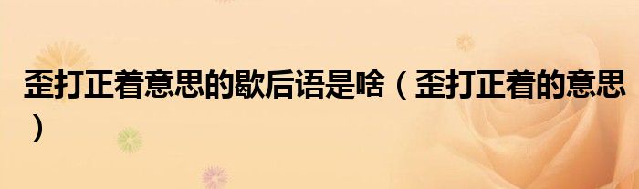 歪打正着意思的歇后语是啥（歪打正着的意思）