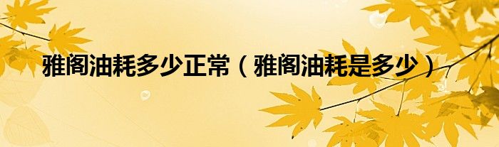 雅阁油耗多少正常（雅阁油耗是多少）