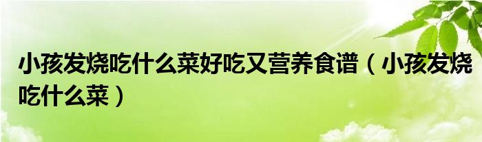 小孩发烧吃什么菜好吃又营养食谱（小孩发烧吃什么菜）