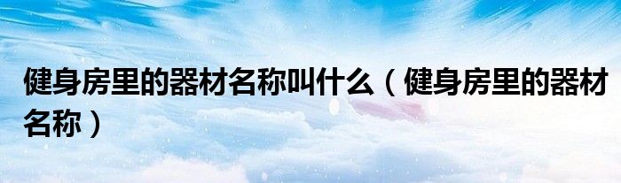 健身房里的器材名称叫什么（健身房里的器材名称）
