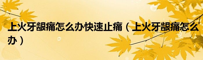 上火牙龈痛怎么办快速止痛（上火牙龈痛怎么办）