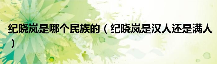 纪晓岚是哪个民族的（纪晓岚是汉人还是满人）