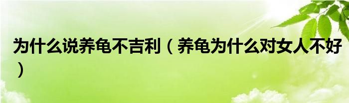 为什么说养龟不吉利（养龟为什么对女人不好）