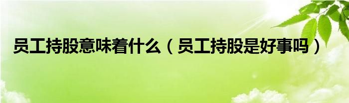 员工持股意味着什么（员工持股是好事吗）