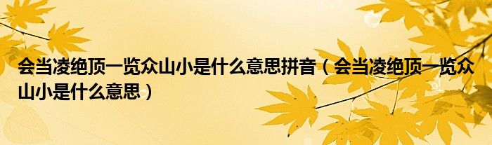 会当凌绝顶一览众山小是什么意思拼音（会当凌绝顶一览众山小是什么意思）