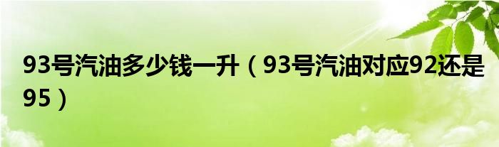 93号汽油多少钱一升（93号汽油对应92还是95）