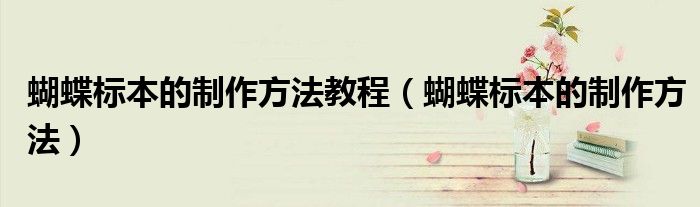 蝴蝶标本的制作方法教程（蝴蝶标本的制作方法）