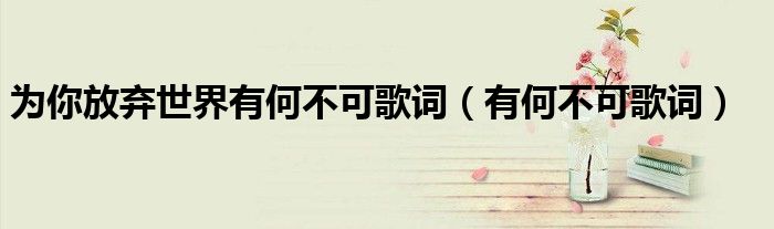 为你放弃世界有何不可歌词（有何不可歌词）