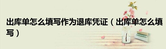 出库单怎么填写作为退库凭证（出库单怎么填写）