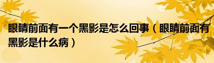 眼睛前面有一个黑影是怎么回事（眼睛前面有黑影是什么病）