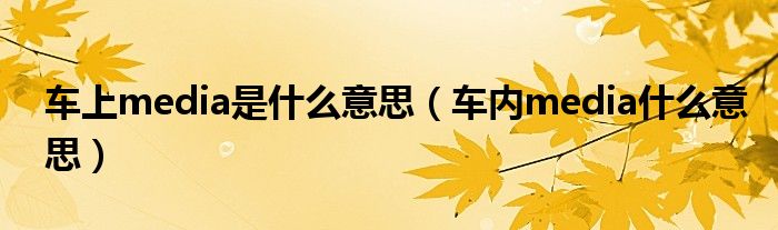 车上media是什么意思（车内media什么意思）