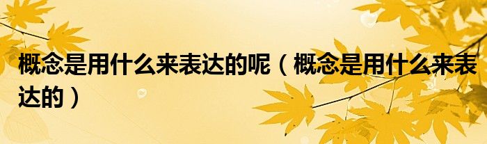 概念是用什么来表达的呢（概念是用什么来表达的）