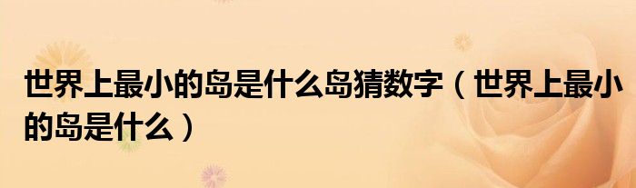 世界上最小的岛是什么岛猜数字（世界上最小的岛是什么）