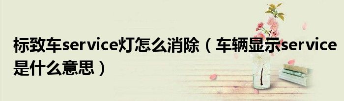 标致车service灯怎么消除（车辆显示service是什么意思）