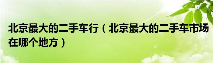 北京最大的二手车行（北京最大的二手车市场在哪个地方）