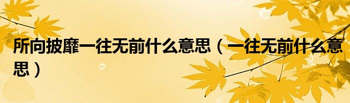 所向披靡一往无前什么意思（一往无前什么意思）