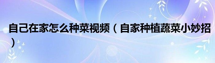 自己在家怎么种菜视频（自家种植蔬菜小妙招）