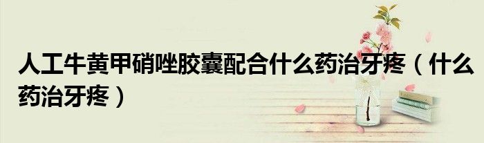 人工牛黄甲硝唑胶囊配合什么药治牙疼（什么药治牙疼）