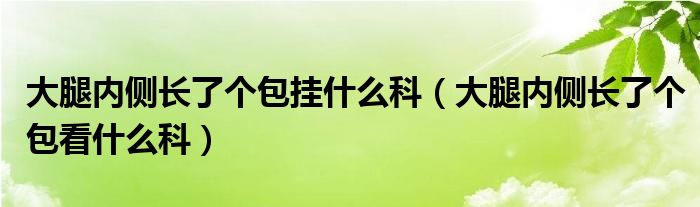 大腿内侧长了个包挂什么科（大腿内侧长了个包看什么科）