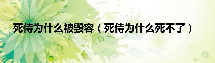 死侍为什么被毁容（死侍为什么死不了）