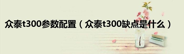 众泰t300参数配置（众泰t300缺点是什么）