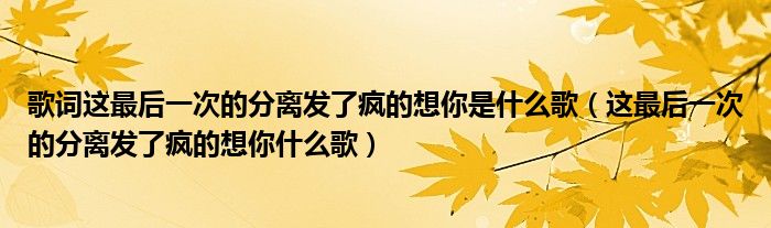 歌词这最后一次的分离发了疯的想你是什么歌（这最后一次的分离发了疯的想你什么歌）