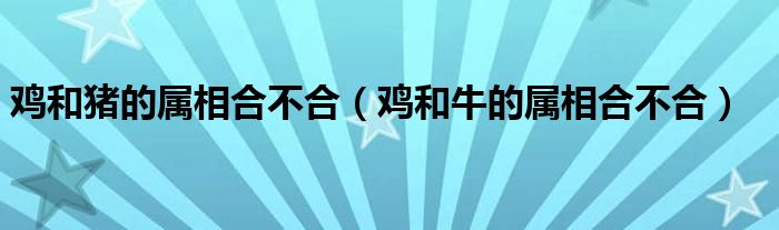 鸡和猪的属相合不合（鸡和牛的属相合不合）
