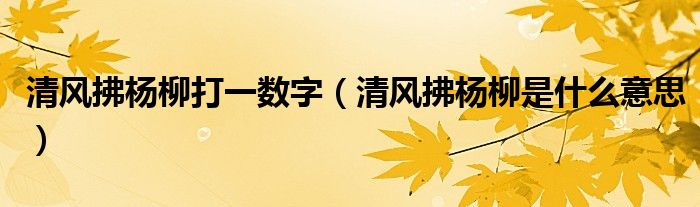 清风拂杨柳打一数字（清风拂杨柳是什么意思）